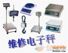 武清地區(qū)電子秤維修與銷售 專業(yè)儀器儀表修理服務(wù)全解析
